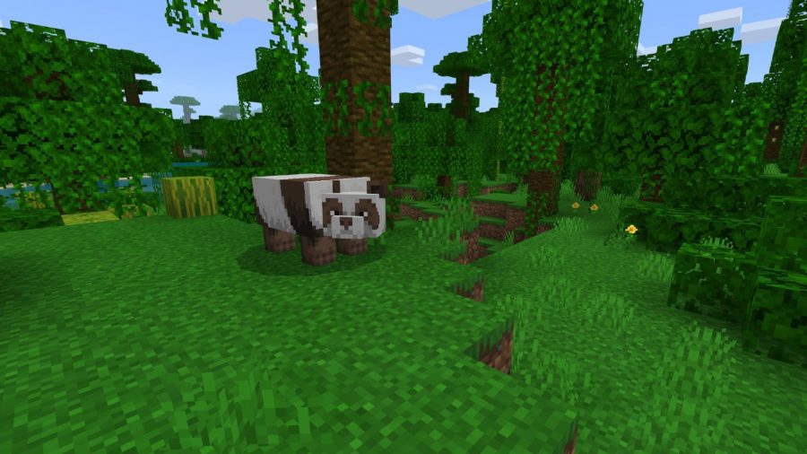 Semi di pe Minecraft, guardando un panda in un bioma della giungla