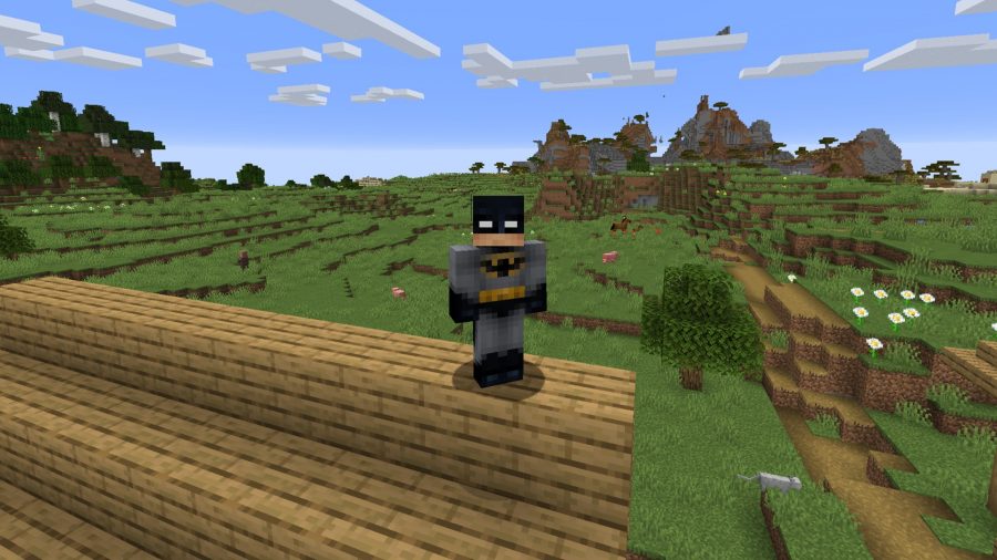 Pelli Minecraft Batman
