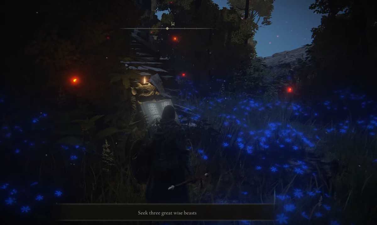 Soluzione dell'enigma di Elden Ring Chelona's Rise