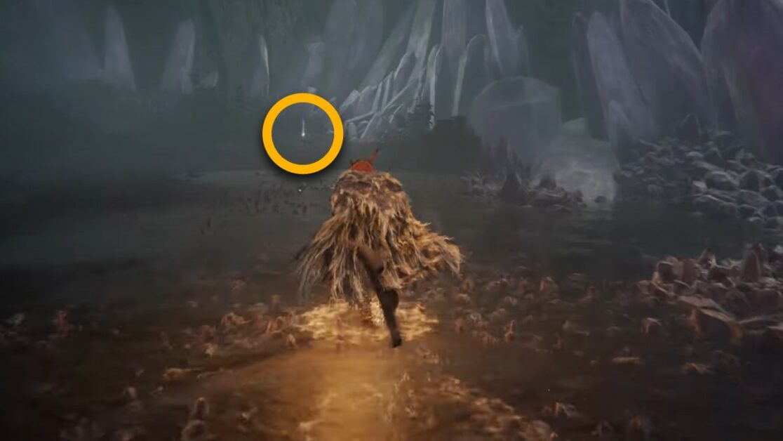 Cadavere di gatto dalla coda lunga in Elden Ring