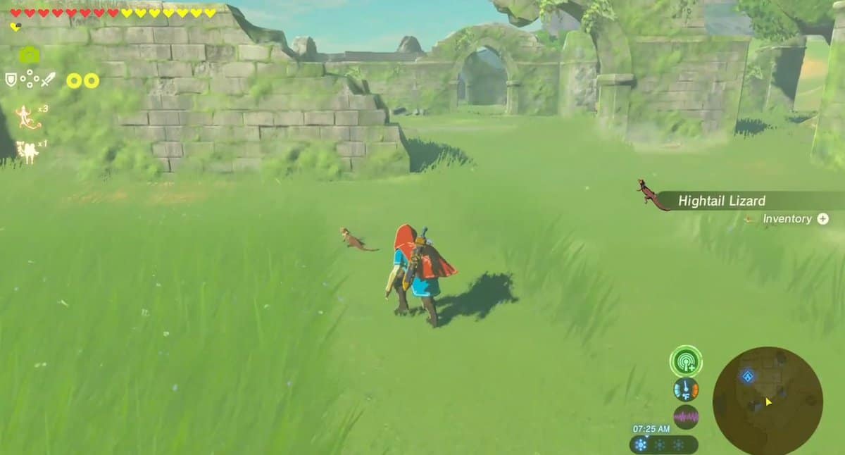 Zelda: Breath Of The Wild Guida all'allevamento di lucertole dalla coda alta