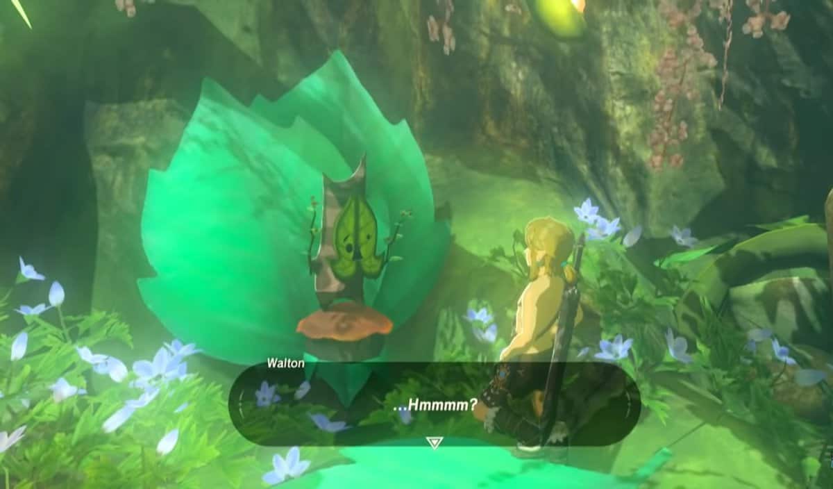 Riddles of Hyrule Quest in Zelda Breath of the Wild