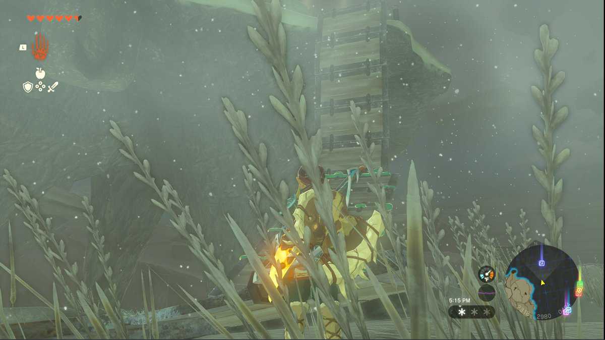 zelda totk pikida stonegrove skyview towe