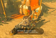 Zelda: Tears of the Kingdom decora con la soluzione della passione