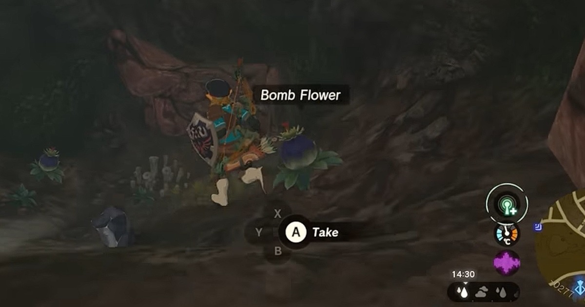 Zelda: Tears of the Kingdom Bomb Flowers: dove puoi comprarli?