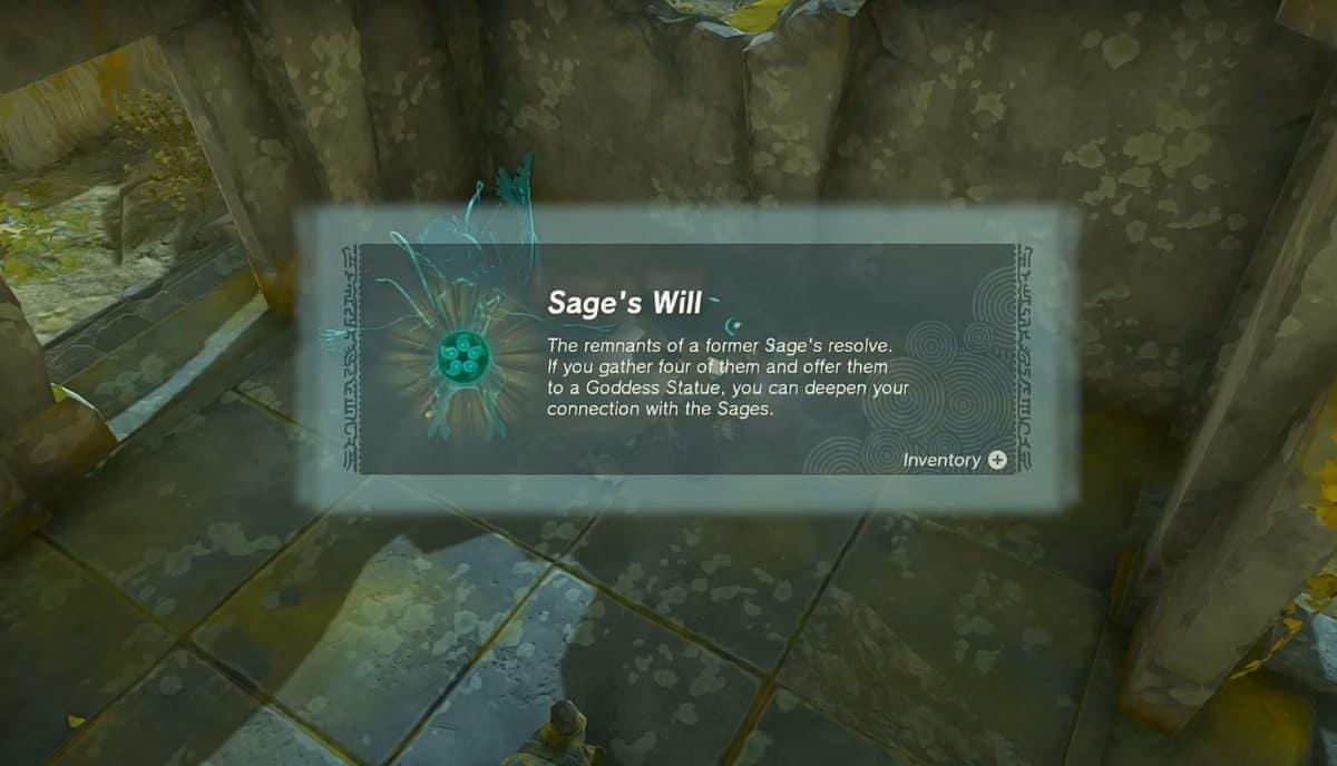 Zelda: Tears Of The Kingdom Sage's Will Posizioni