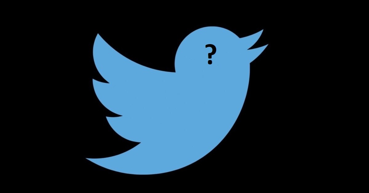 Chi è il nuovo CEO di Twitter e quando se ne andrà Elon Musk?