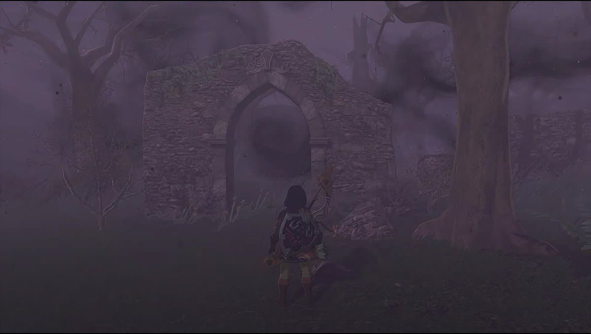 Come attraversare boschi perduti per entrare nella foresta di Korok in Zelda: TotK