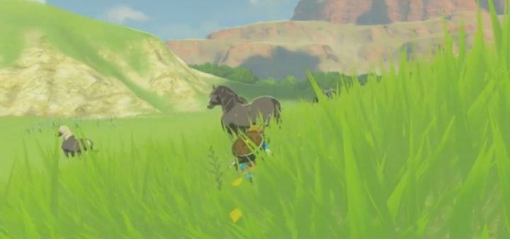 I modi migliori per ottenere rupie in Zelda: Breath Of The Wild