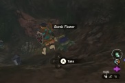 Zelda: Tears of the Kingdom Bomb Flowers Dove acquistare