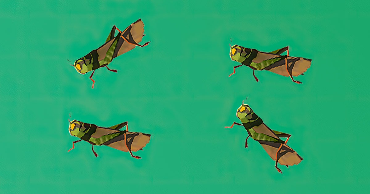 Zelda: Tears of the Kingdom: esiste una rete anti-insetti?