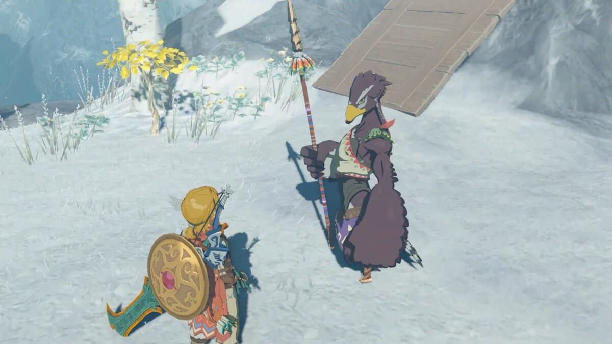 Zelda: Tears Of The Kingdom Crossing The Cold Pool Soluzione