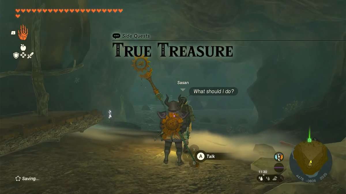 Zelda: Tears Of The Kingdom True Treasure Soluzione