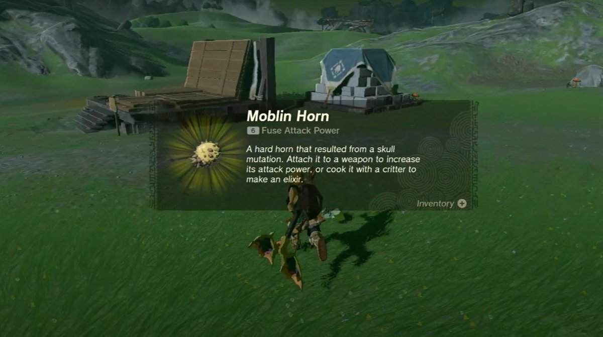 Zelda: Tears Of The Kingdom Moblin Horn Posizioni