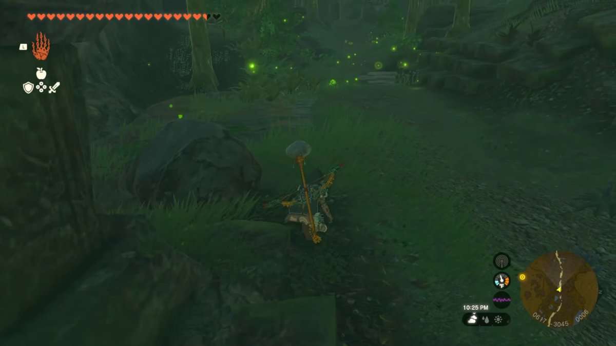 Zelda: Tears Of The Kingdom Deep Fireflies Posizioni