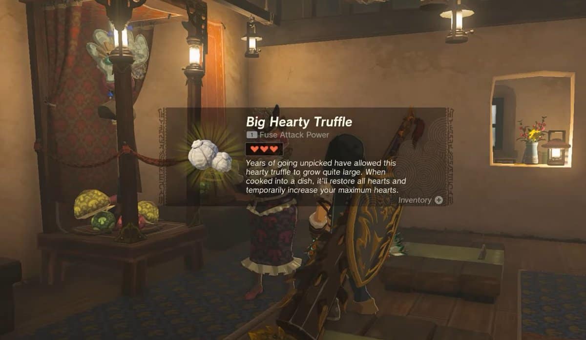 Zelda: Tears Of The Kingdom Team Cece o Team Reede Soluzione