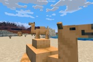 Minecraft Camels Posizione Tame Ride Breed