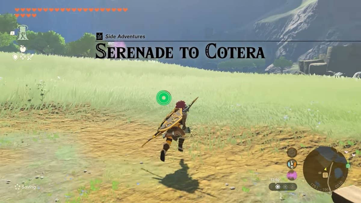 Zelda: Tears Of The Kingdom Serenade To Cotera Soluzione