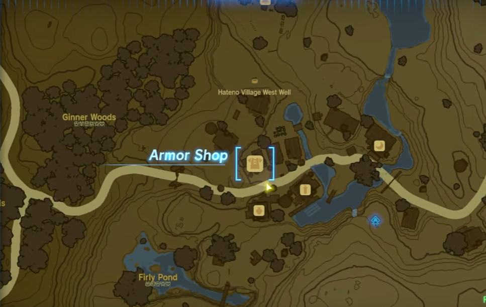 Posizione della missione Team Cece o Team Reede in Lacrime del Regno