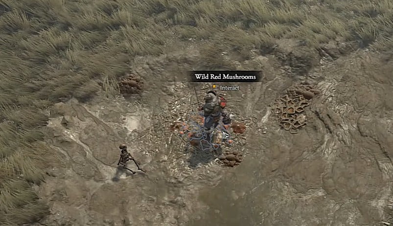 Diablo 4 Brought To Heel