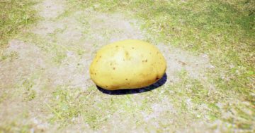 Pikmin 4: Terrazza maculata dal sole 99%: Dov'è l'ubicazione dell'ultimo tesoro?