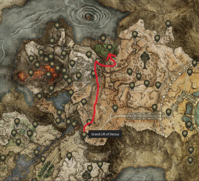 posizione della pinza di antspur