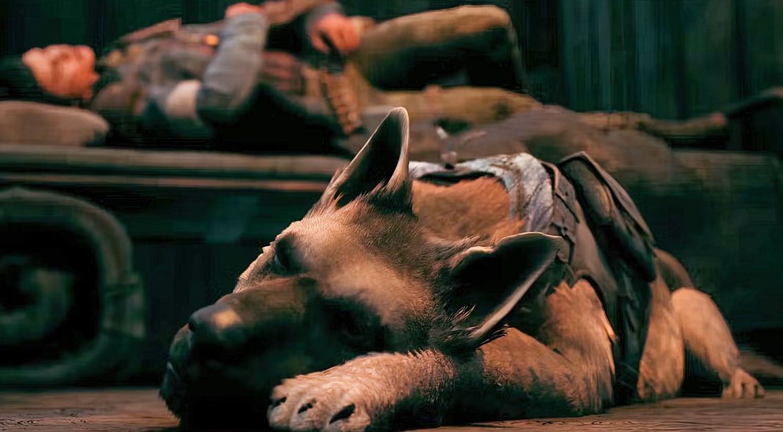 Remnant 2 Handler Dog Revive non funziona in Solo: Bonded Perk è disturbato?