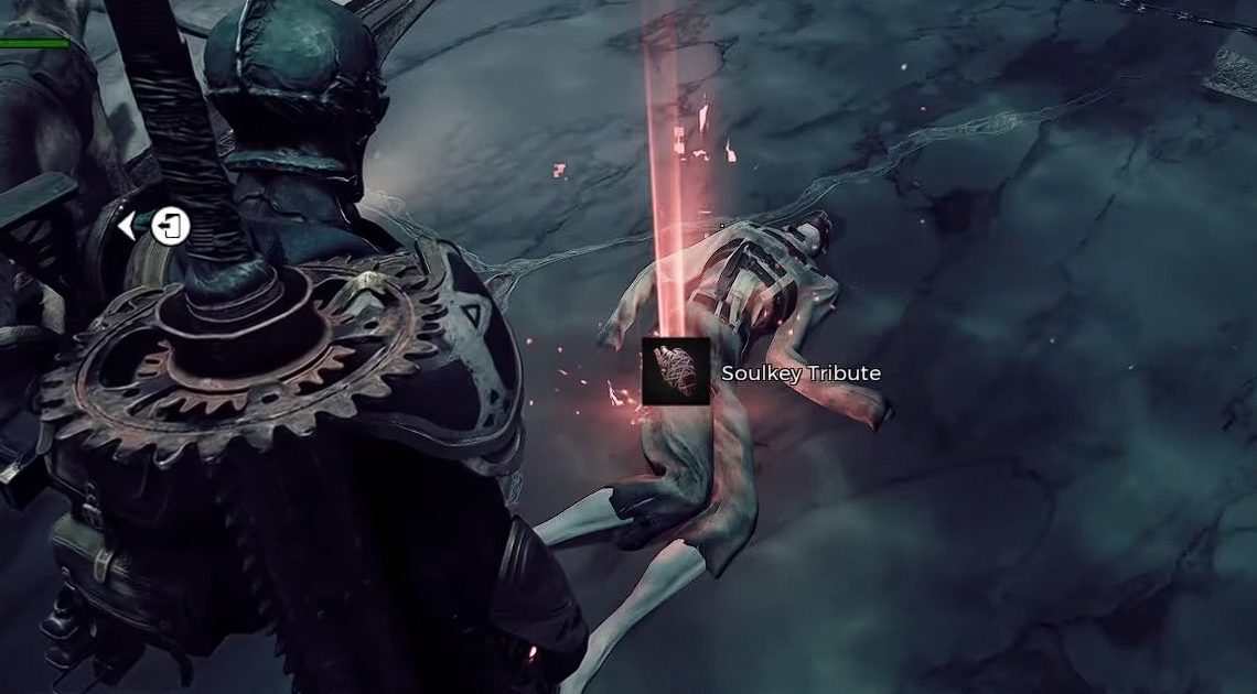 Remnant 2 Soulkey Tribute Location: Come superare la strana rete a Losomn