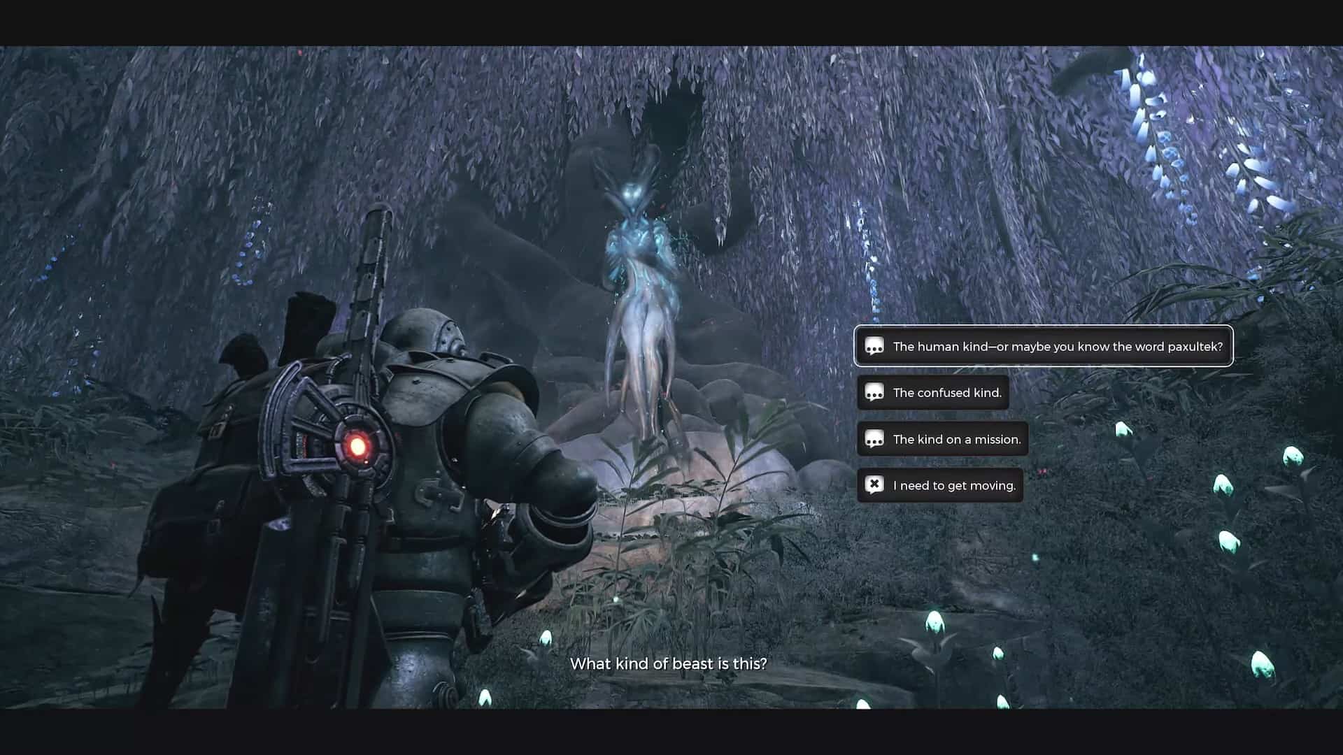 Resto 2 NPC Pellecorta Meidra