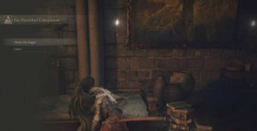 Cosa fare con il pugnale esposto alle intemperie in Elden Ring