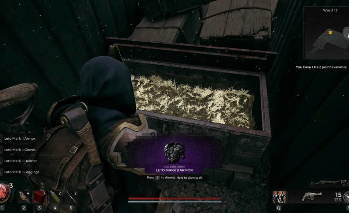 Secret Portal Remnant 2 Ward 13