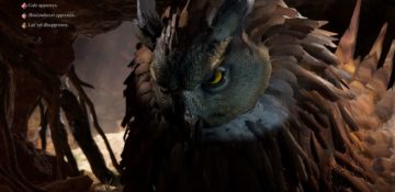 Cosa fare con Owlbear Egg in Baldur's Gate 3: tenere o vendere?