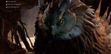 Cosa fare con Owlbear Egg in Baldur's Gate 3: tenere o vendere?