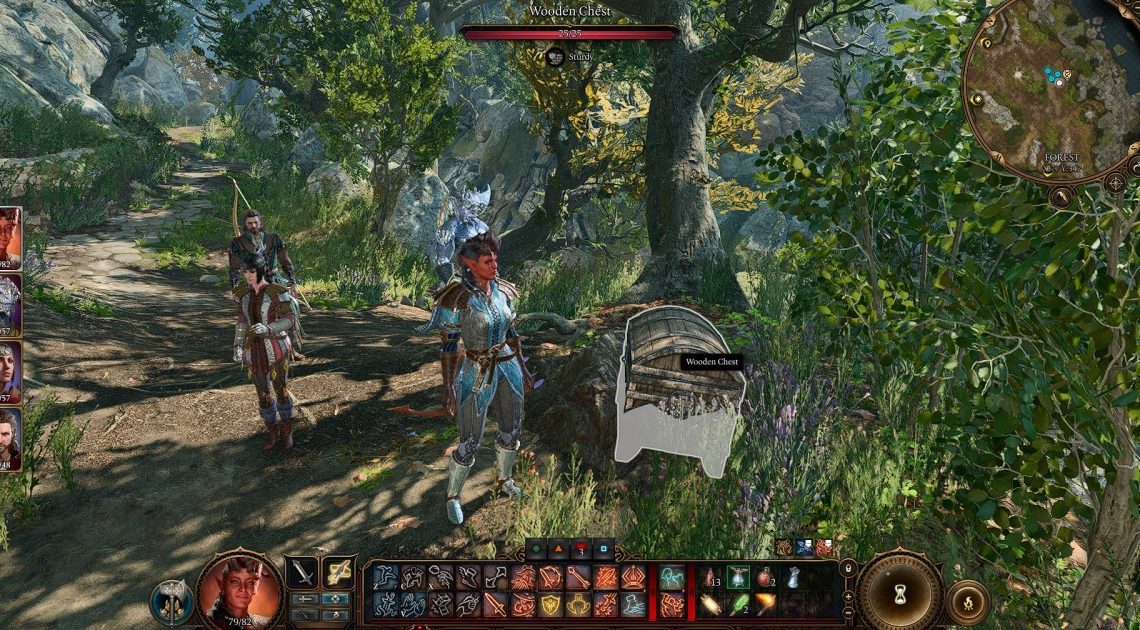 Baldur's Gate 3 Hidden Goblin Stash Bug: come trovare la cassa del tesoro nella foresta