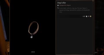 Posizione del collare per cani di Baldur's Gate 3: dove trovare il pulsante per il cibo gratis