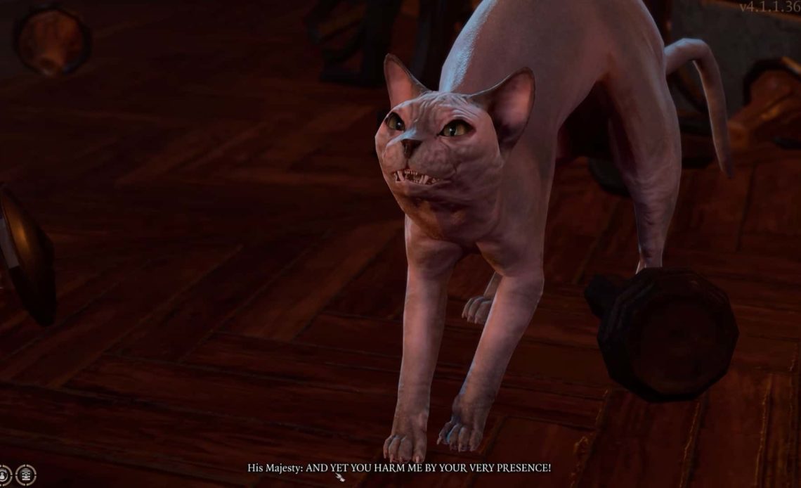 How To Talk To Animals In Baldur's Gate 3