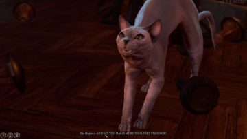 Come parlare con gli animali in Baldur's Gate 3