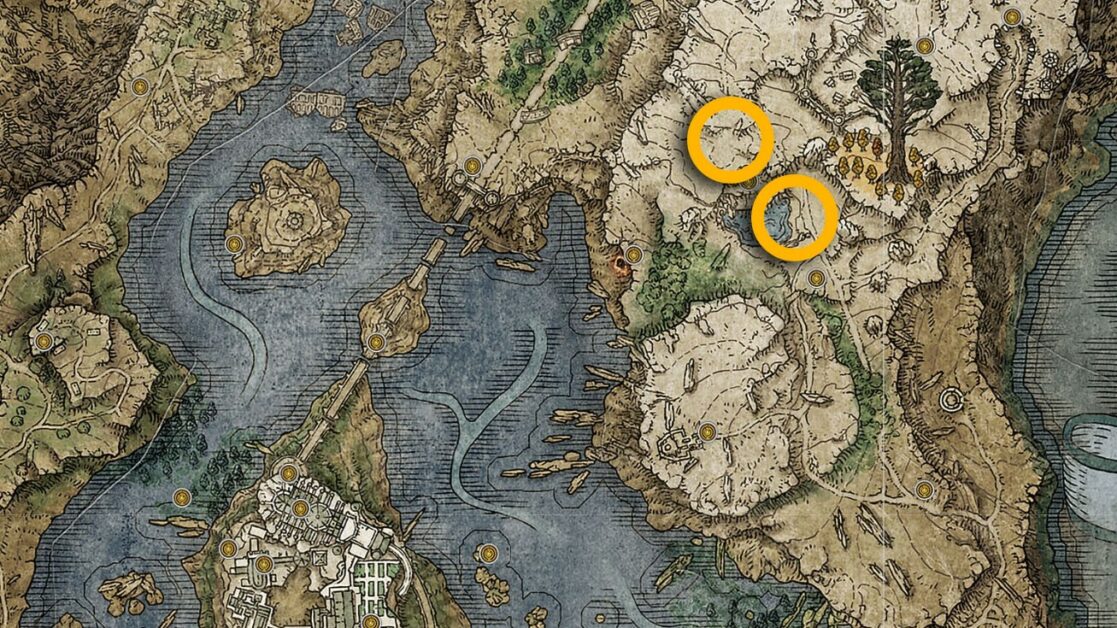 Posizione sulla mappa del Mausoleo pedonale dei Laghi di Liurnia a Elden Ring