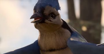 Baldur's Gate 3 Blue Jay's Find: come ottenere tesori su Map Marker