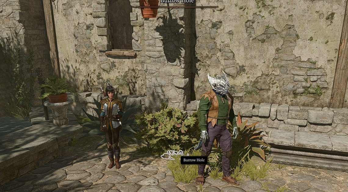 Baldur's Gate 3 Burrow Holes: come superare il piccolo buco