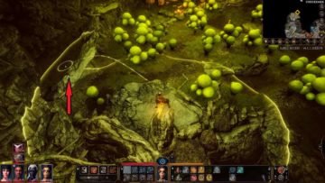 Come ottenere Noblestalk in Baldur's Gate 3