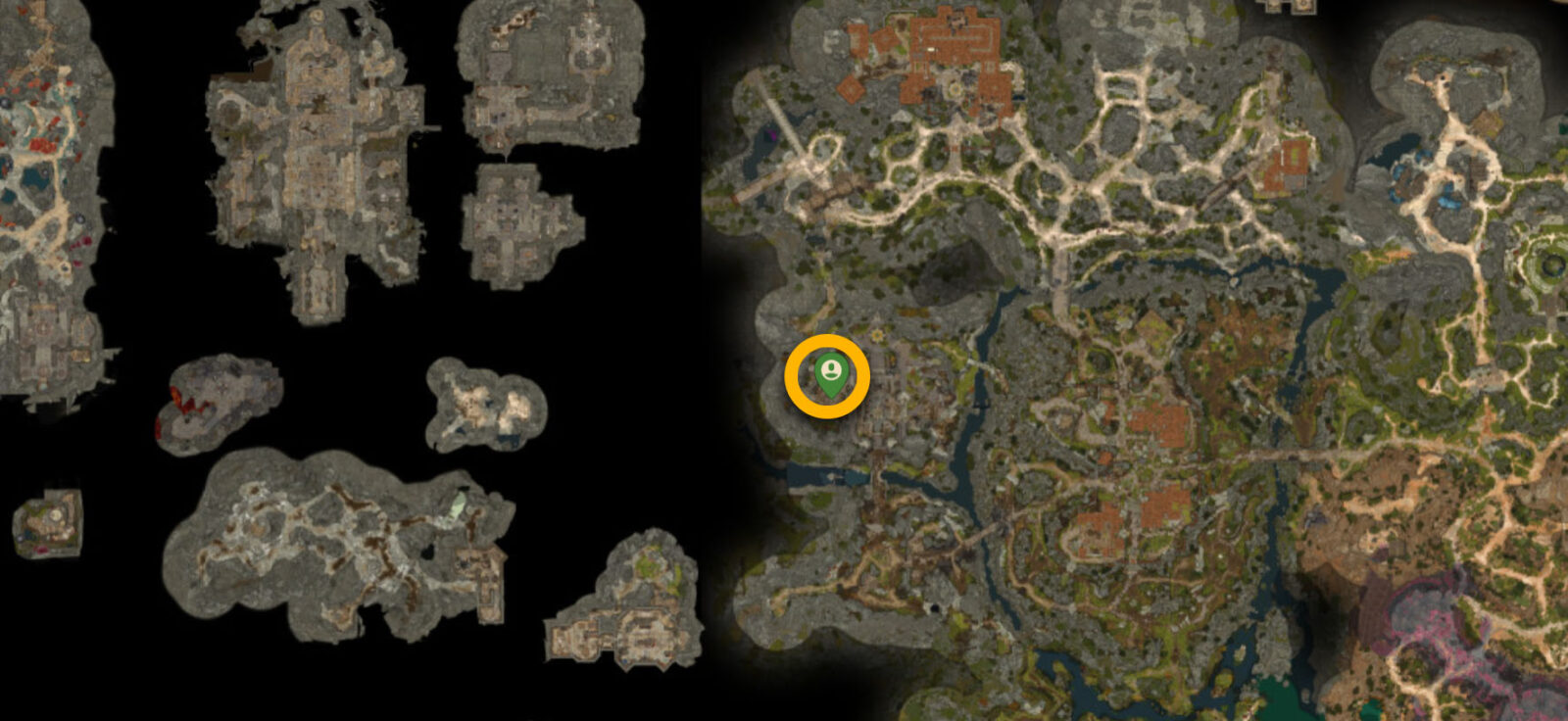 Posizione di Owlbear Cub in Baldur's Gate 3