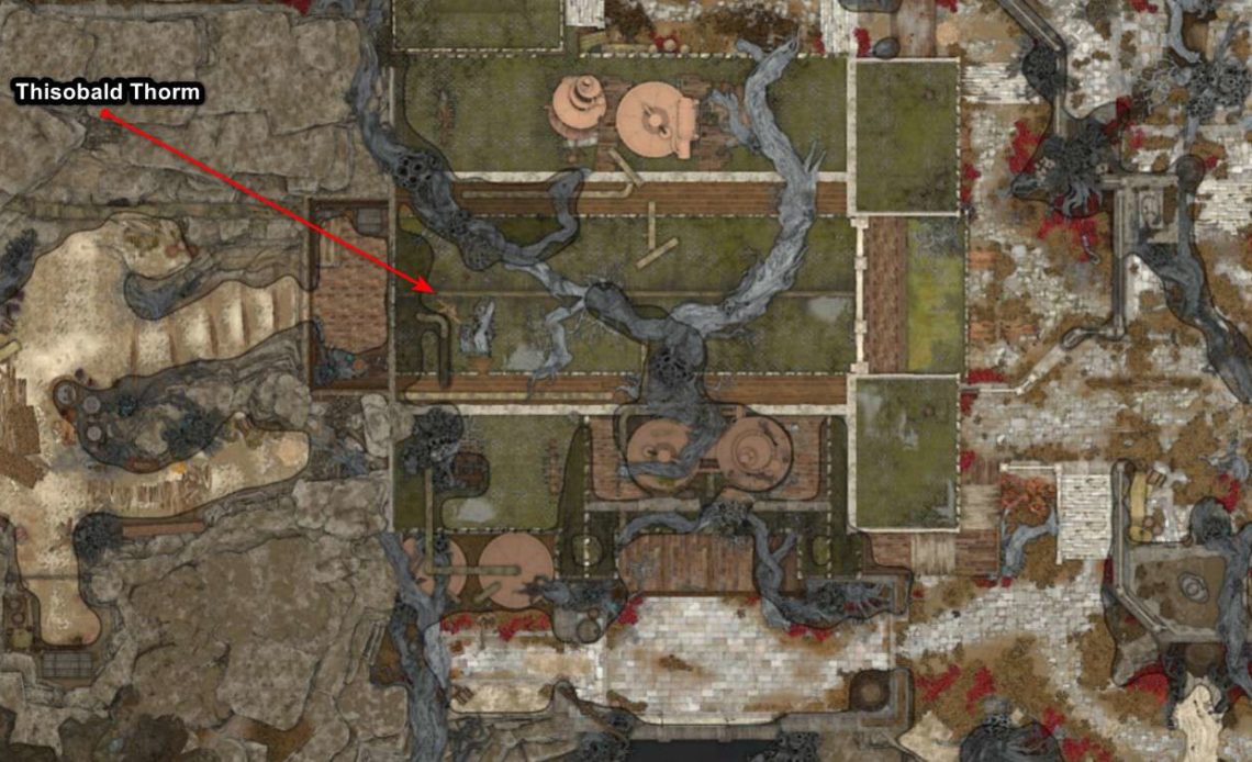 Come sconfiggere Thisobald Thorm in Baldur's Gate 3