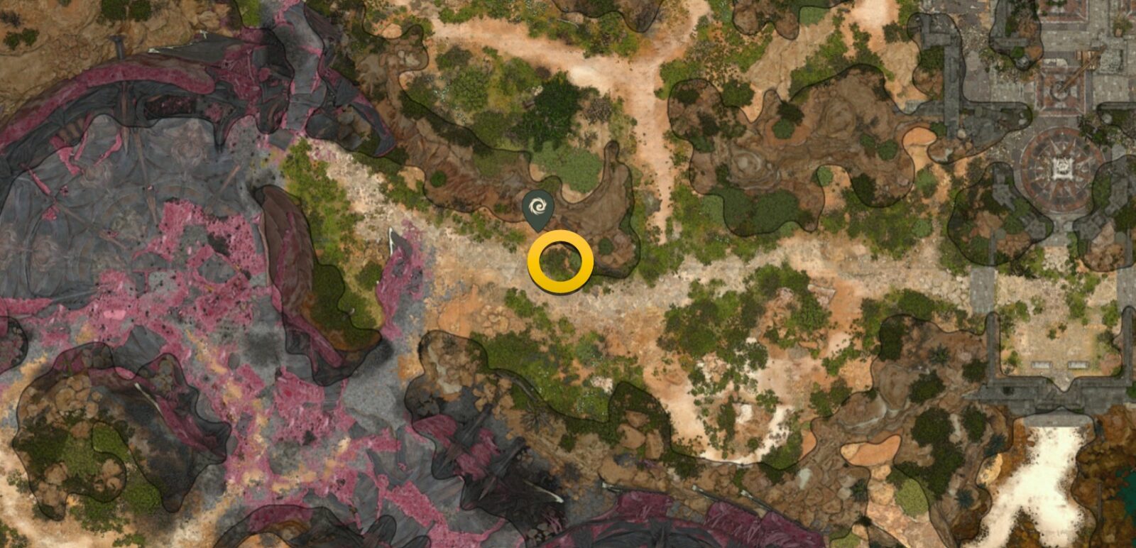 Posizione di Gale in Baldur's Gate 3