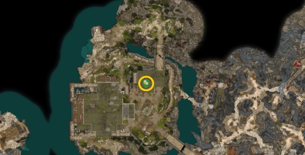 Posizione di Dammon in Baldur's Gate 3 