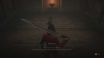 Guida alle bugie di P Black Cat Boss