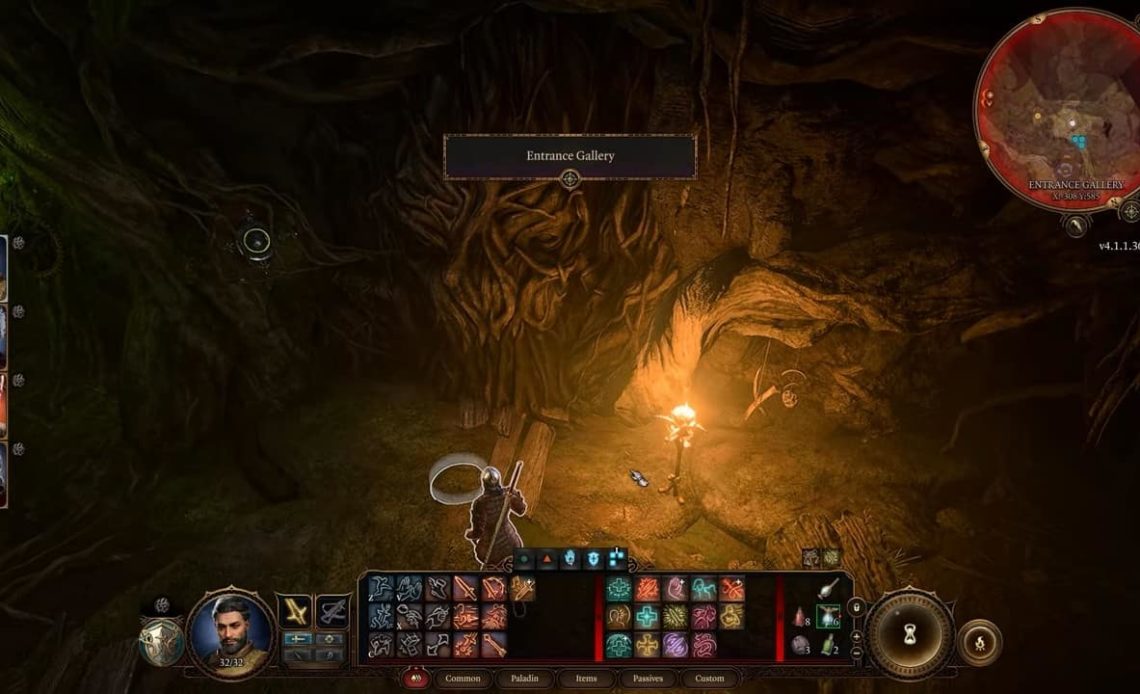 Baldur's Gate 3 Overgrown Tunnel