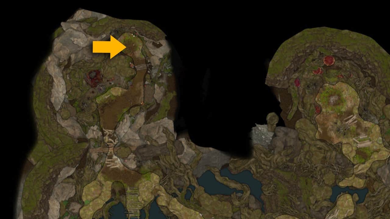 La posizione sulla mappa del tunnel ricoperto di vegetazione in Baldur's Gate 3