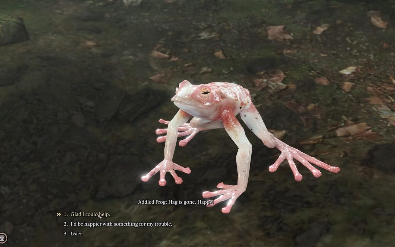 Opzioni di dialogo della rana confuse in BG3