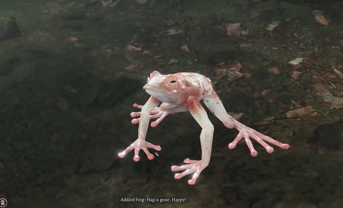 Addled Frog in Baldur's Gate 3
